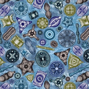 Ernst Haeckel Diatoms Sea Hues Over Blue Water