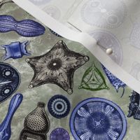 Ernst Haeckel Diatoms Cool Tones Over Green Water