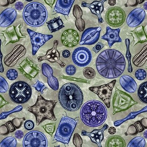 Ernst Haeckel Diatoms Cool Tones Over Green Water