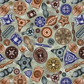 Ernst Haeckel Diatoms Fall Colors Over Green Water