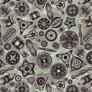 Ernst Haeckel Diatoms Aubergine Over Green Water