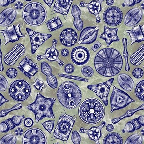 Ernst Haeckel Diatoms Quad Tone Blue Over Green Water