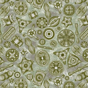 Ernst Haeckel Diatoms Moss Green Over Green Water
