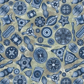 Ernst Haeckel Diatoms Dark Blue over Green Water