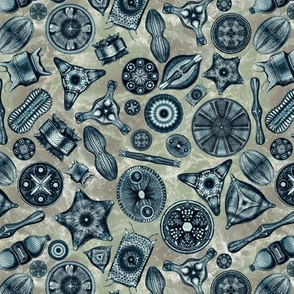 Ernst Haeckel Diatoms Cerulean on Green Water