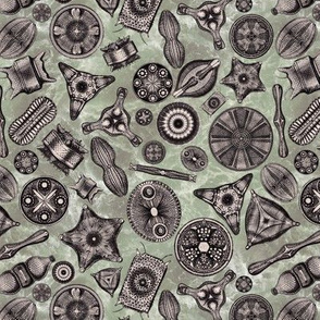Ernst Haeckel Diatoms Lavendar Grey over Green Water