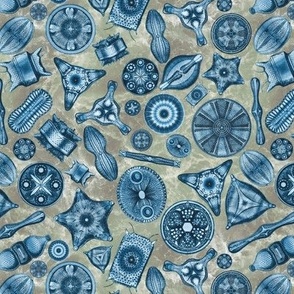 Ernst Haeckel Diatoms Teal over Green Water