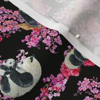 cute pandas on Sakura