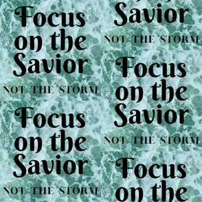 Focus on the Savior Not the Storm