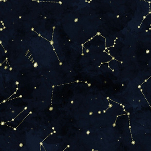 Zodiac constellations