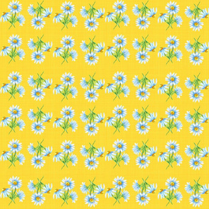 daisies on sunshine