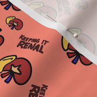 Keeping It Renal V1