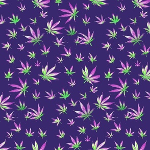 Purple Pot