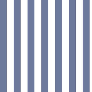 Stonewash Grey Awning Stripe Pattern Vertical in White