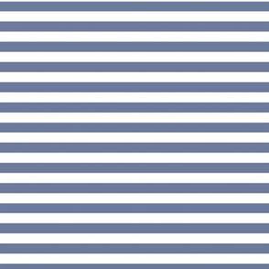 Stonewash Grey Bengal Stripe Pattern Horizontal in White