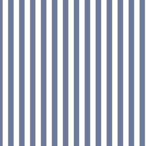Stonewash Grey Bengal Stripe Pattern Vertical in White