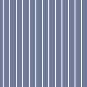 Stonewash Grey Pin Stripe Pattern Vertical in White