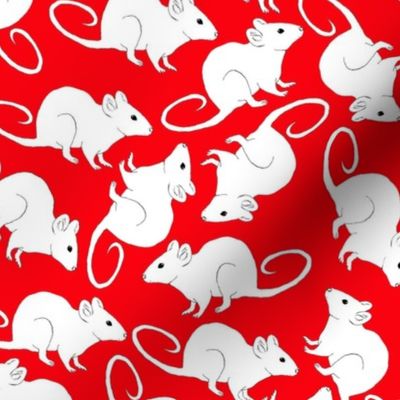White Rats on Red