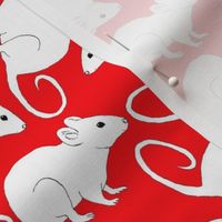 White Rats on Red