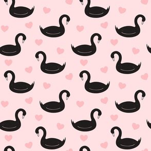 Black Swans on Pink