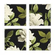 Vintage Pale Cream Roses on Black - large