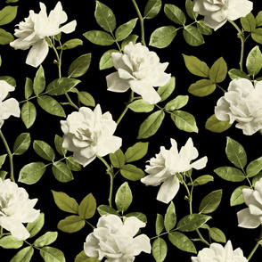 Vintage Pale Cream Roses on Black - large