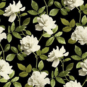 Vintage Pale Cream Roses on Black - small