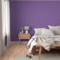 Purple solid colour