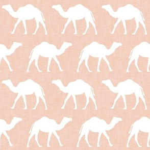 Camels - pink - LAD20