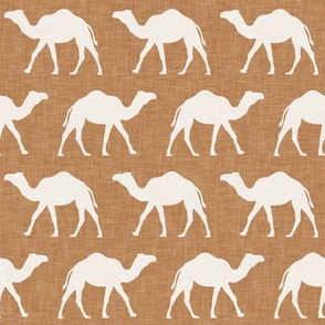 Camels - camel - LAD20