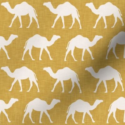 Camels - Mustard - LAD20