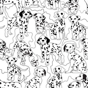 dalmatians