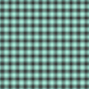 plaid in aqua/black