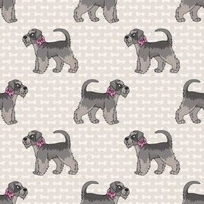  Hand drawn cute schnauzer breed dog pattern. 