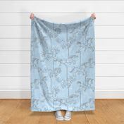 Carousel Contour Lines | Soft Blue + Gray