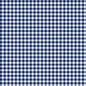 Gingham Blue