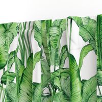Pattern leaves palm tropical bright 05 Jumbo