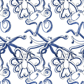 Continuous Octopus - Navy and White
