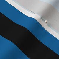 Large French Blue Awning Stripe Pattern Vertical in Black