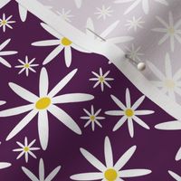 Field of Daisies-Purple