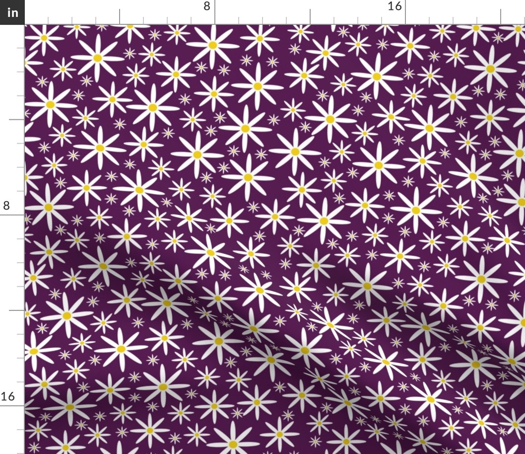 Field of Daisies-Purple