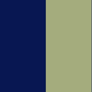 JP31 -Large -  Navy and Pastel Olive Basic Stripe
