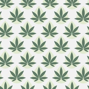 Cannabis leaves