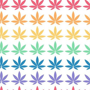 Cannabis leaves