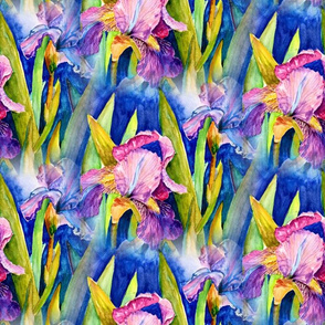 large WATERCOLOR IRIS GARDEN DIAGONAL ORIGINAL SPRING FLOWERS PSMGE