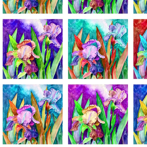 8" x 8" checkerboard watercolor irises white PSMGE