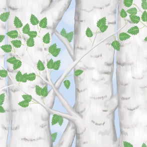 Birch Trees With Leaves