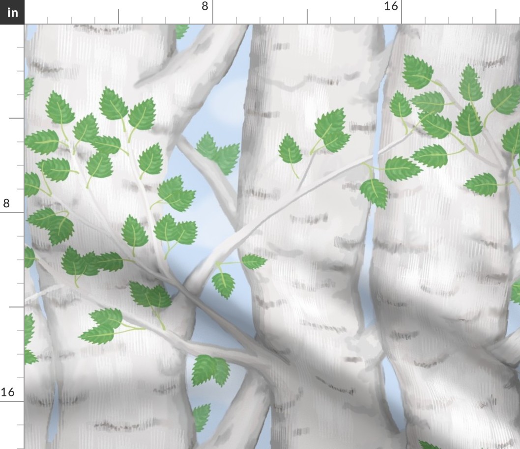 Birch Trees With Leaves