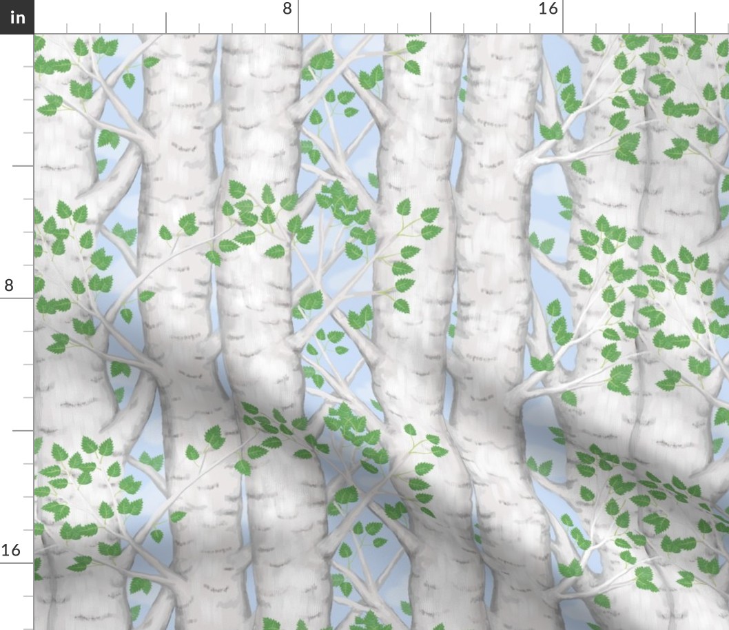 Birch Tree Spring Leaves