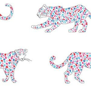 Multicolor Spots Leopard Parade